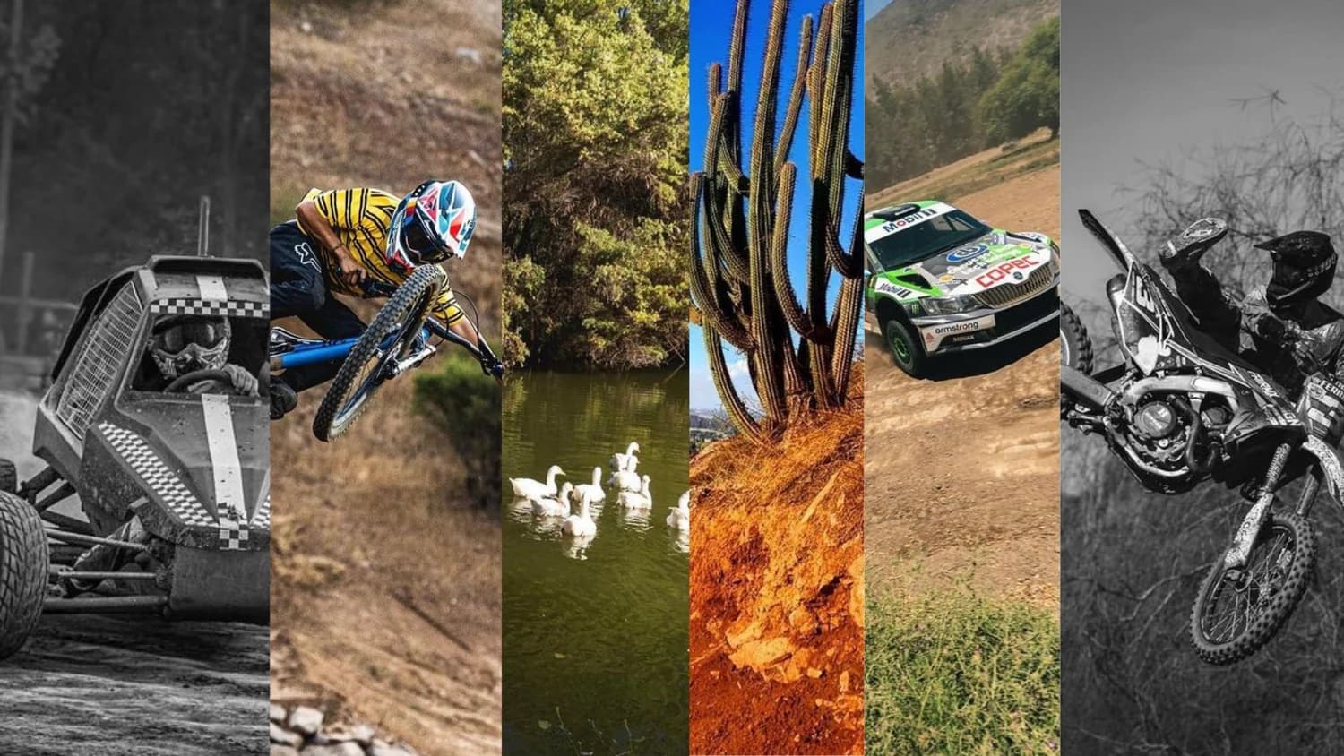 PYT'S PARK - Portada de eventos